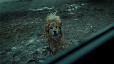 Since I don't have a picture of Hannibal, here's a .gif of Winston being sad.