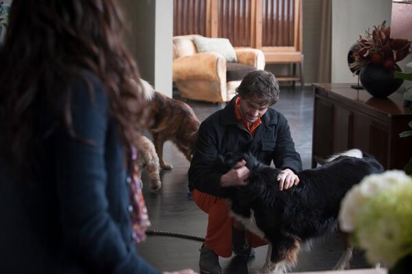 Actually, his first stop is to see Alana and his dogs. (But mostly his dogs, probably.) This is a deleted scene that Bryan Fuller said will show up in the special features of the Season One box set. Interestingly, enough, though, Hannibal references it in a scene left in the episode where Hannibal tells him that he scared her and Will says that she is "confused about who I am." Sorry. BRB. CRYING.