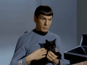 catspock