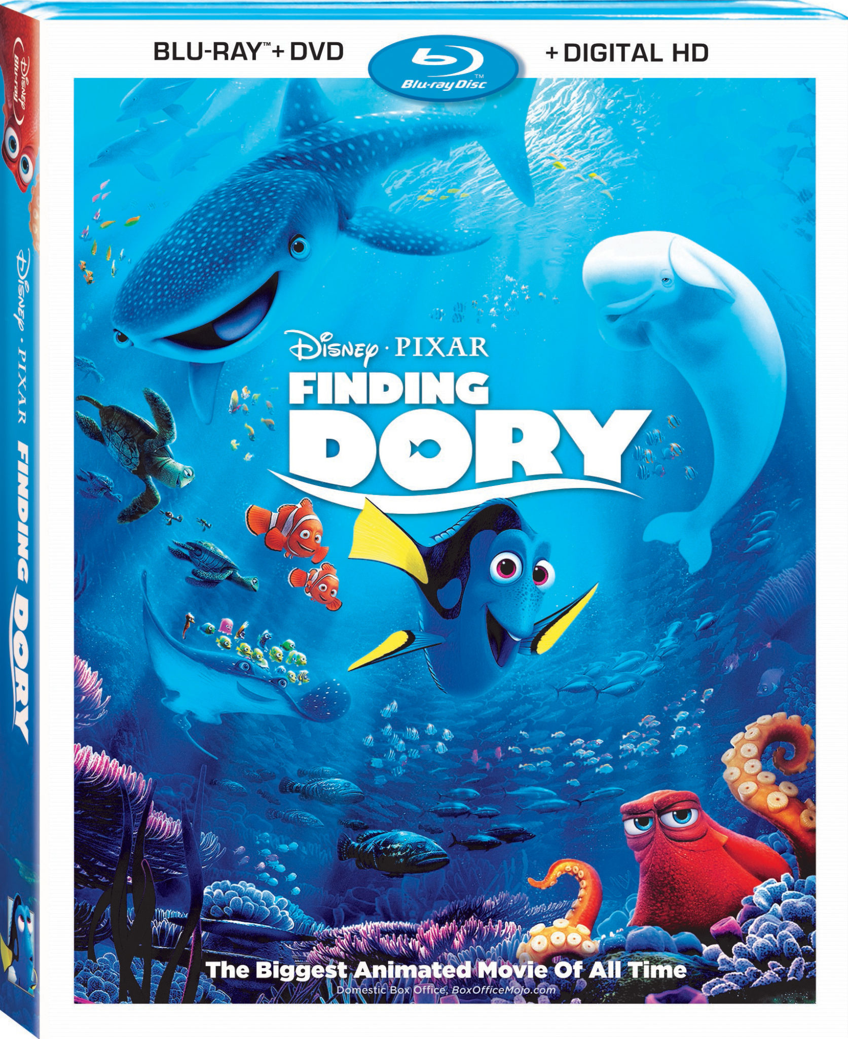 findingdorycov