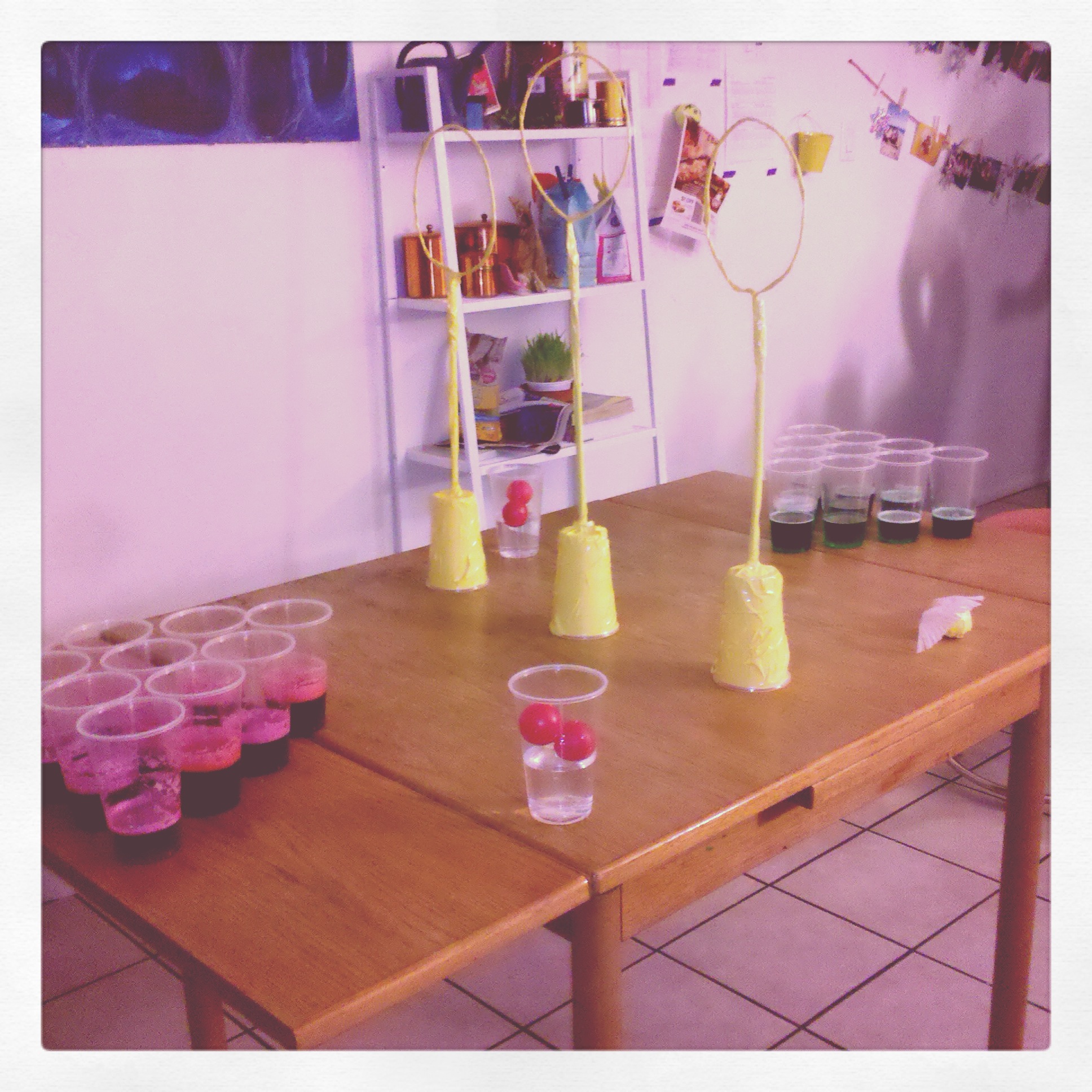 Gryffindor Wins the House Cup! in Quidditch Beer Pong — Nerdophiles